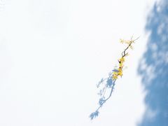 -少华山国家森林公园