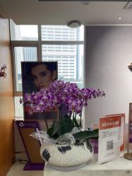 -杭州米兰柏羽医疗美容医院