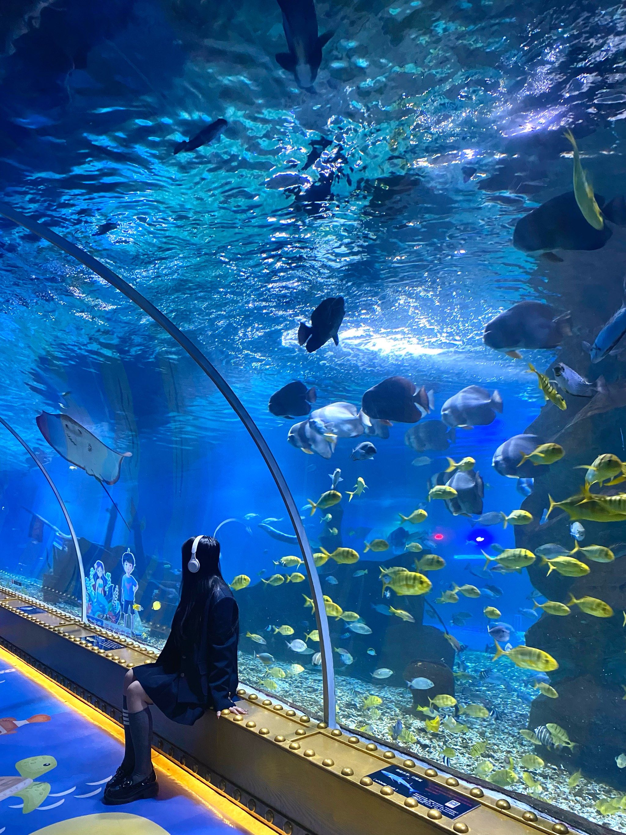 东莞!氛围感敲绝的海洋馆🐟