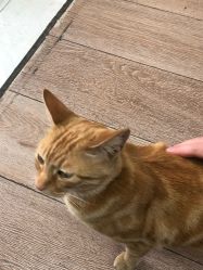 -EasyLady美甲沙龙