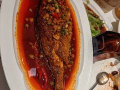 红烧大黄鱼-眉州东坡(望京店)