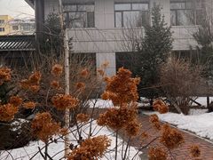 -哈尔滨极乐寺