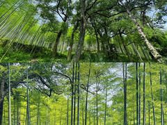 -东明山森林公园