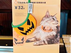 -Seesaw Coffee(上海尚悦湾店)