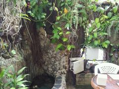 -自然餐厅(Phuket)