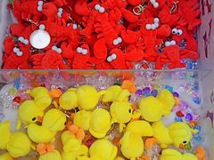 -新世界百货(顺义店)