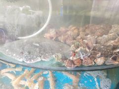 -四海蒸鲜蒸汽海鲜自助(北戴河店)
