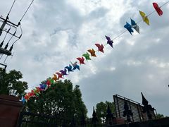 -上海长兴岛郊野公园