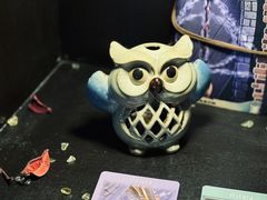 -雪灵魔法世界SHELLY’S TAROT(大良桂畔里店)