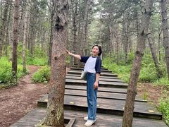 -帽儿山国家森林公园