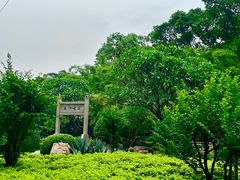 -晓港公园