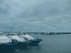 -硇洲岛旅游区