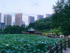 -龙头寺公园