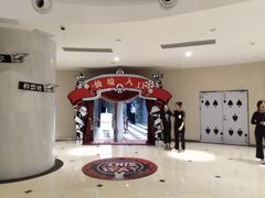 -爱丽丝冒险奇遇记