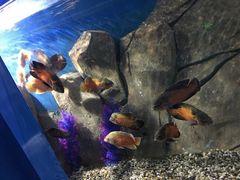 -石林冰雪海洋世界