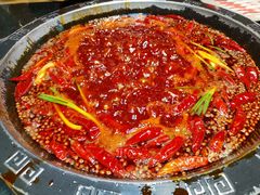 -渝大狮毛肚老火锅(普陀店)