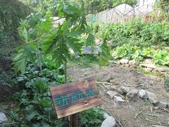 IMG_0645-茂德公草堂