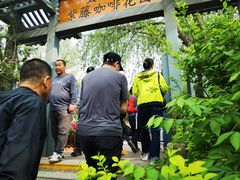 -太阳宫公园