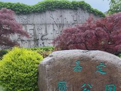 -嘉定紫藤园