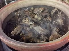 -霞姐屯昌枫木香草鸭店(海螺店)