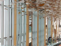 -视界美食自助餐厅·石家庄希尔顿酒店