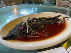 -大鹅岛绿色生态美食园