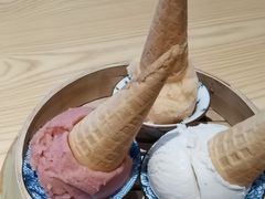 杏皮茶雪葩-歎雪糕低糖低脂Gelato冰淇淋