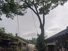-许家山