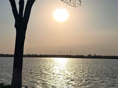 -天津金海湖