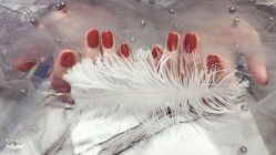 -RL Nail·瑞丽美甲美睫品牌原创店