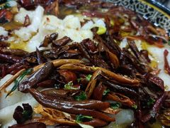 -宝发园名菜馆