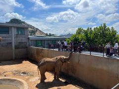 -西霞口神雕山野生动物世界