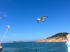 -海驴岛(荣成市)