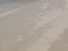-白城沙滩