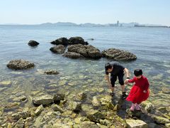 -养马岛旅游度假区