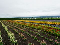 -富田农场
