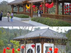 -广西壮族自治区药用植物园