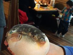 -永安鱼庄·镇江菜(丁卯店)