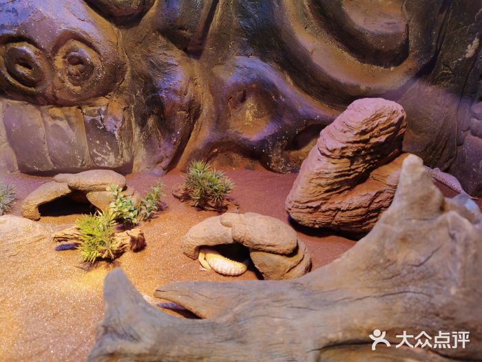 郑州海洋馆图片