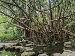 -燕晗山郊野公园