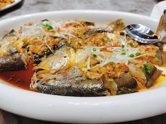 -大连湾旭日·家宴·海肠捞饭(马栏广场店)