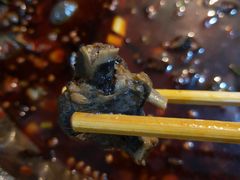 -黑竹香鸡(营和巷店)