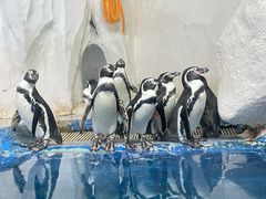 -太平洋海底世界