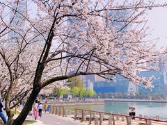 -西北湖绿化广场