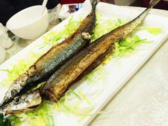 -金碧轩粤菜海鲜大酒楼