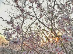 -鬼笑石后山停车场