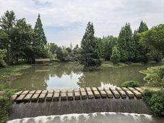 -桤木河湿地公园