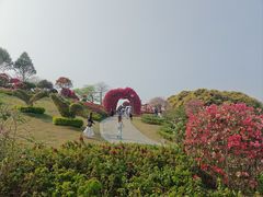 -东莞植物园