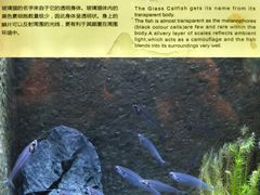 -上海海洋水族馆