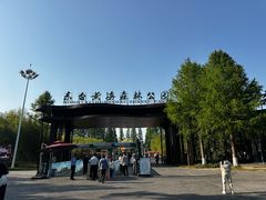 -黄海国家森林公园